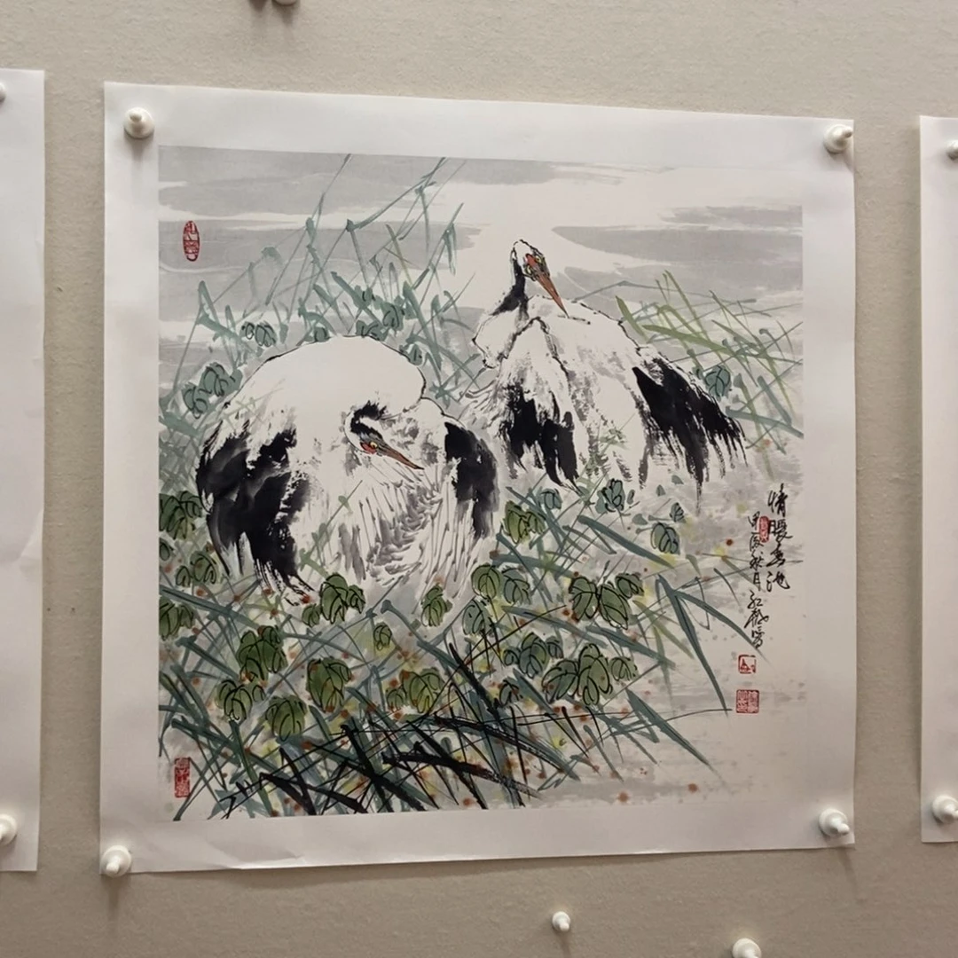 【闪购商品】绘画黑*墨鱼精品墨鱼精品