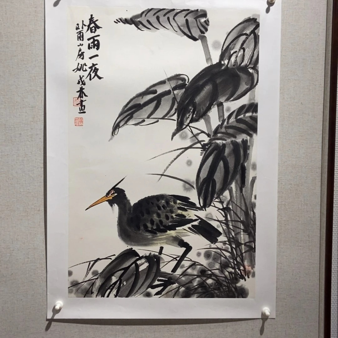 【闪购商品】书法用****2墨鱼精品墨鱼精品