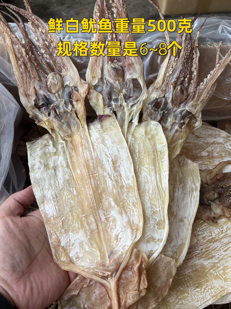 陆丰鲜白大鱿鱼6～8个500克