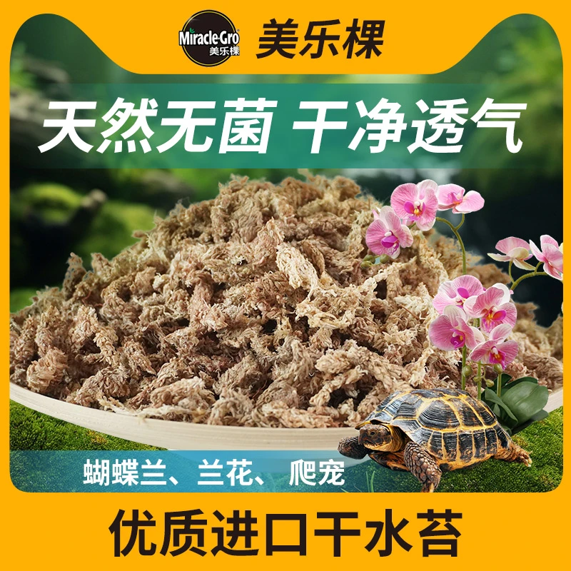 美乐棵智利进口水苔蝴蝶兰专用土干苔藓毛毛虫水苔柱爬宠乌龟垫底