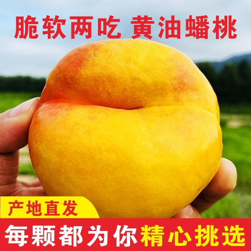 山东蒙阴彩虹油蟠桃4斤装