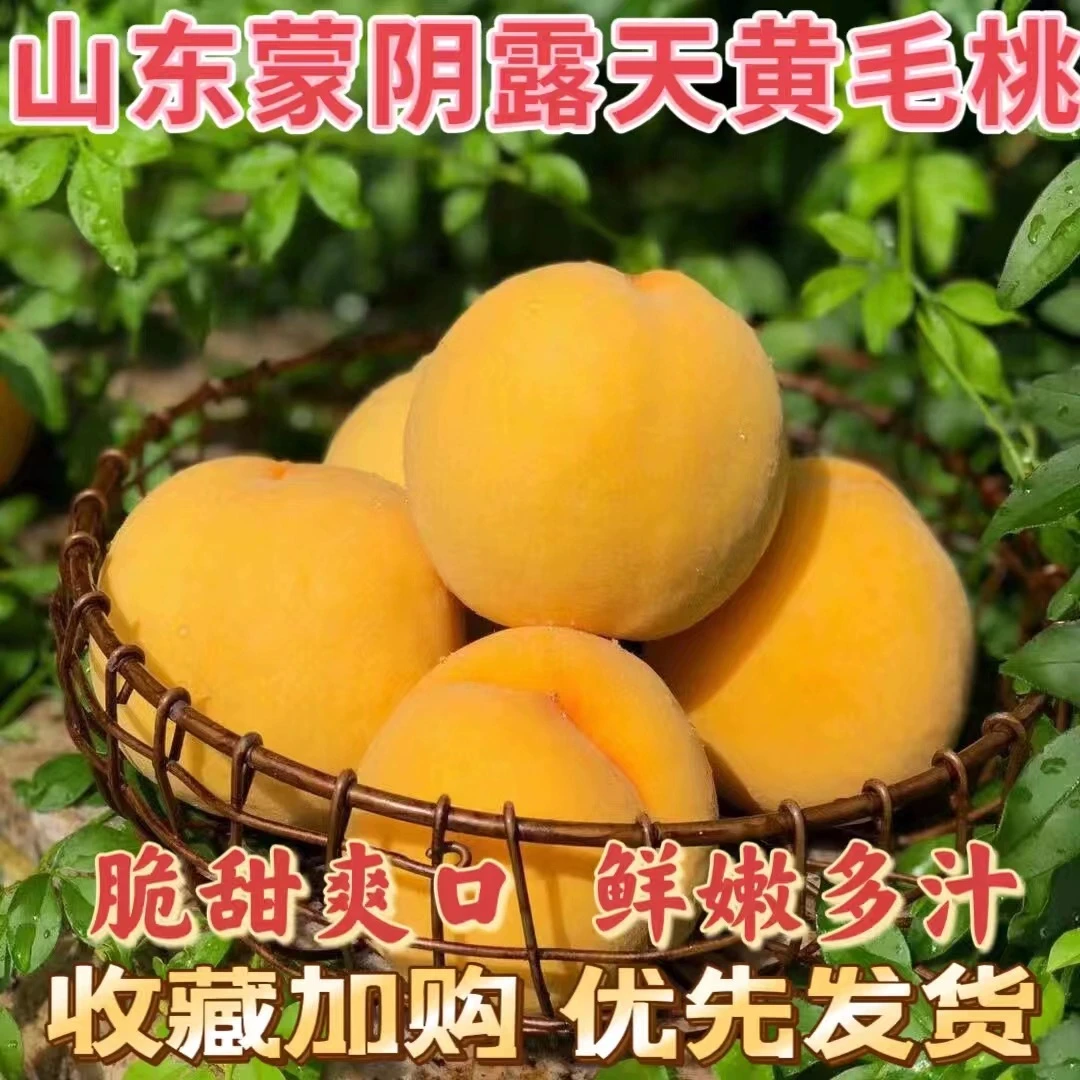 【夏日尝鲜】黄金蜜锦香黄毛桃山东纯甜蜜桃蒙阴桃新鲜水果4.5-5斤
