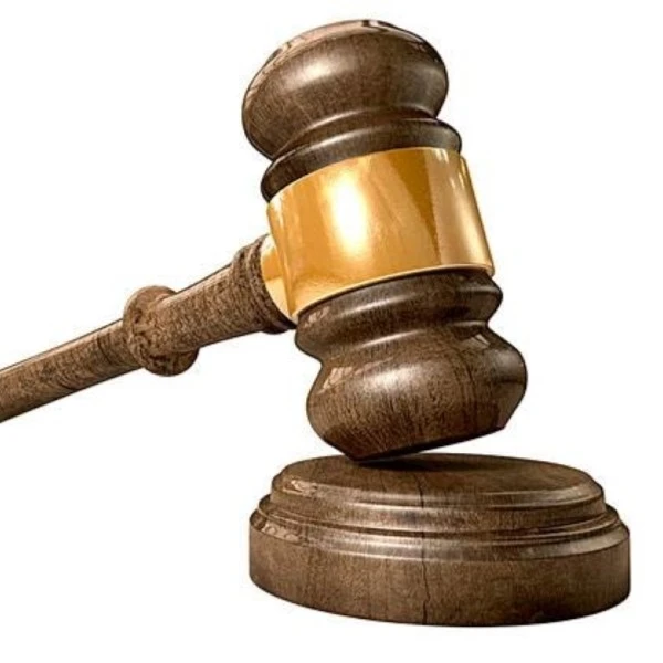 直播间盆景拍品（一物一拍）