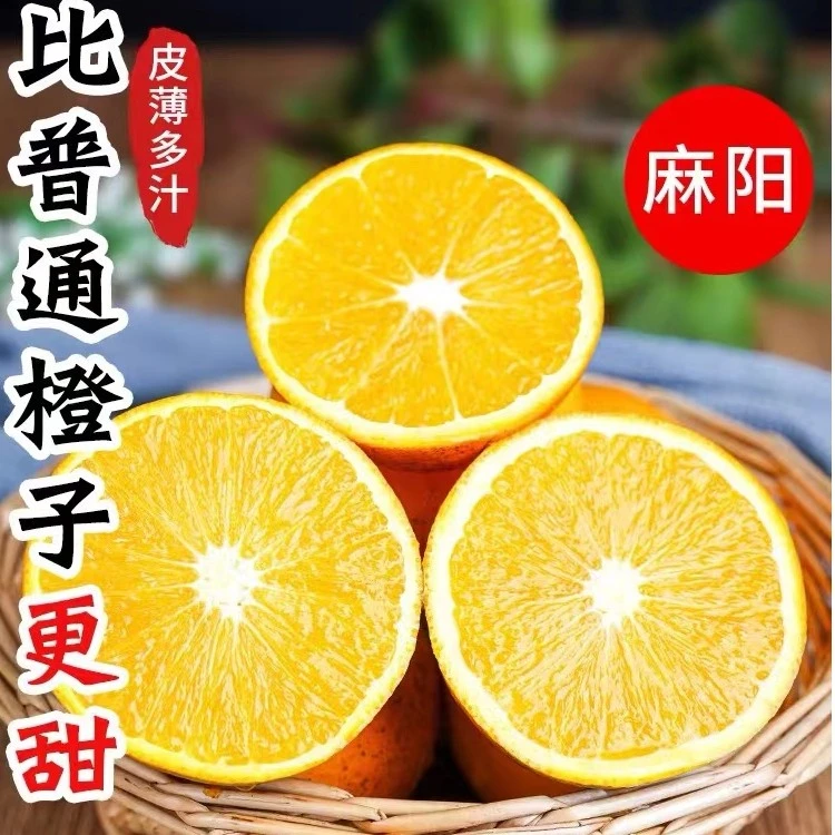 【大果9斤装】2024麻阳高山甜橙纯甜无酸新鲜当季水果甜橙手剥橙