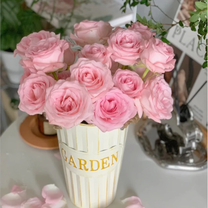 【今喜花舍】 戴安娜 云南高品质鲜花  任意两单发顺丰