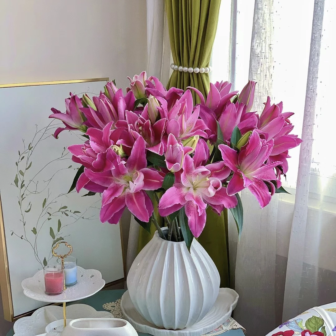 【探花甄选】紫莲花重瓣百合花卉 云南基地直发 任意购浪漫七夕礼