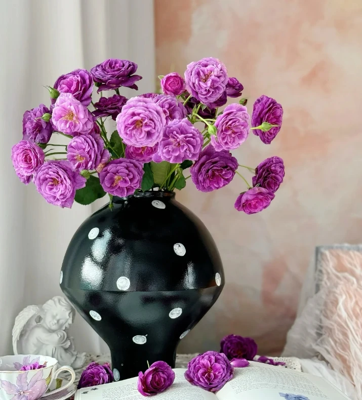 【今喜花舍】凝夜幽兰  稀有多头玫瑰 云南基地直发 两单起发顺丰