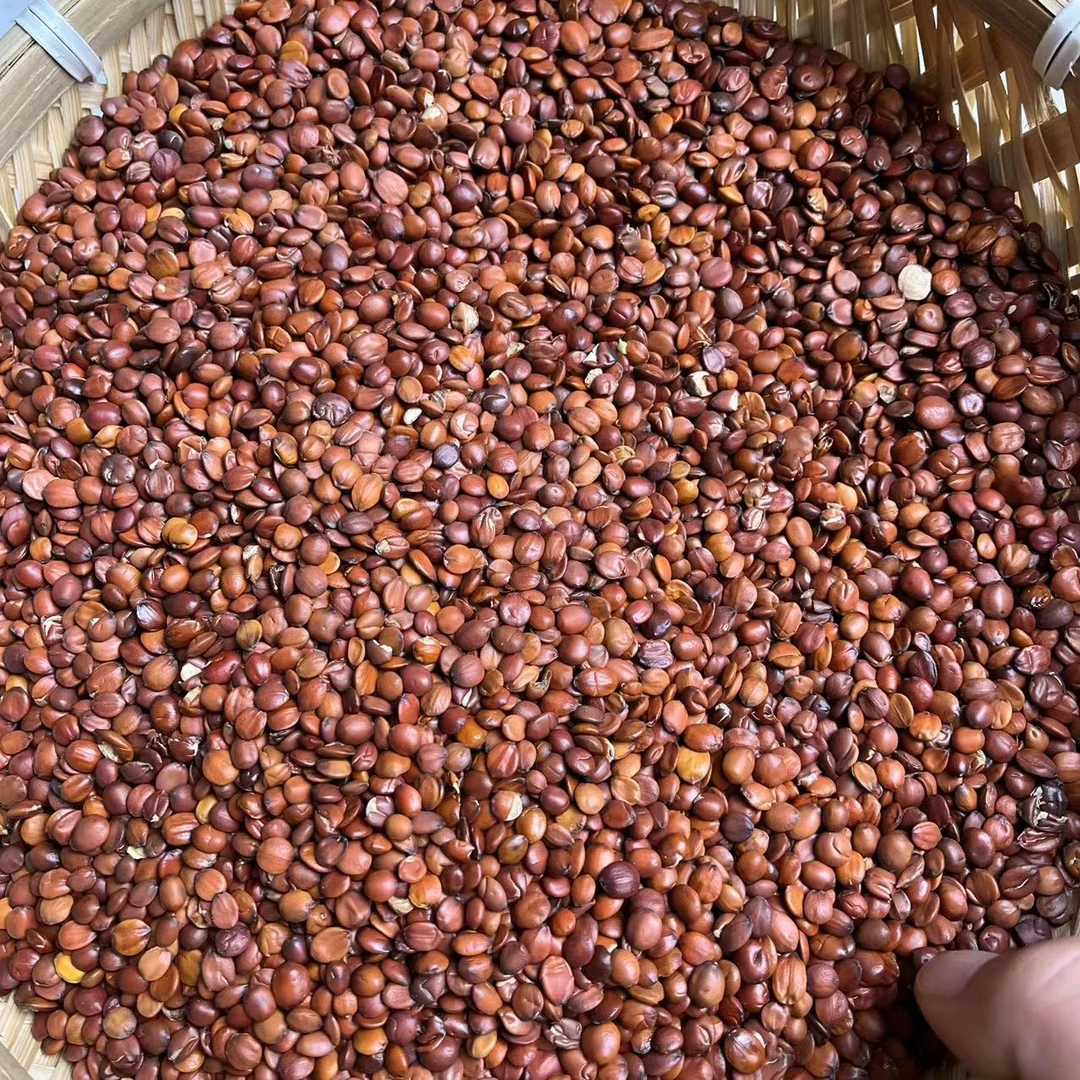 【酸枣仁】正品无熏硫酸枣仁日常煮水泡水50g包邮