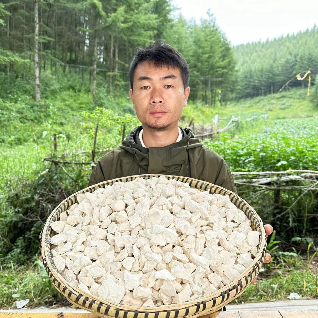 【茯苓】云南产白茯苓  生切茯苓 原生态种植 茯苓250克