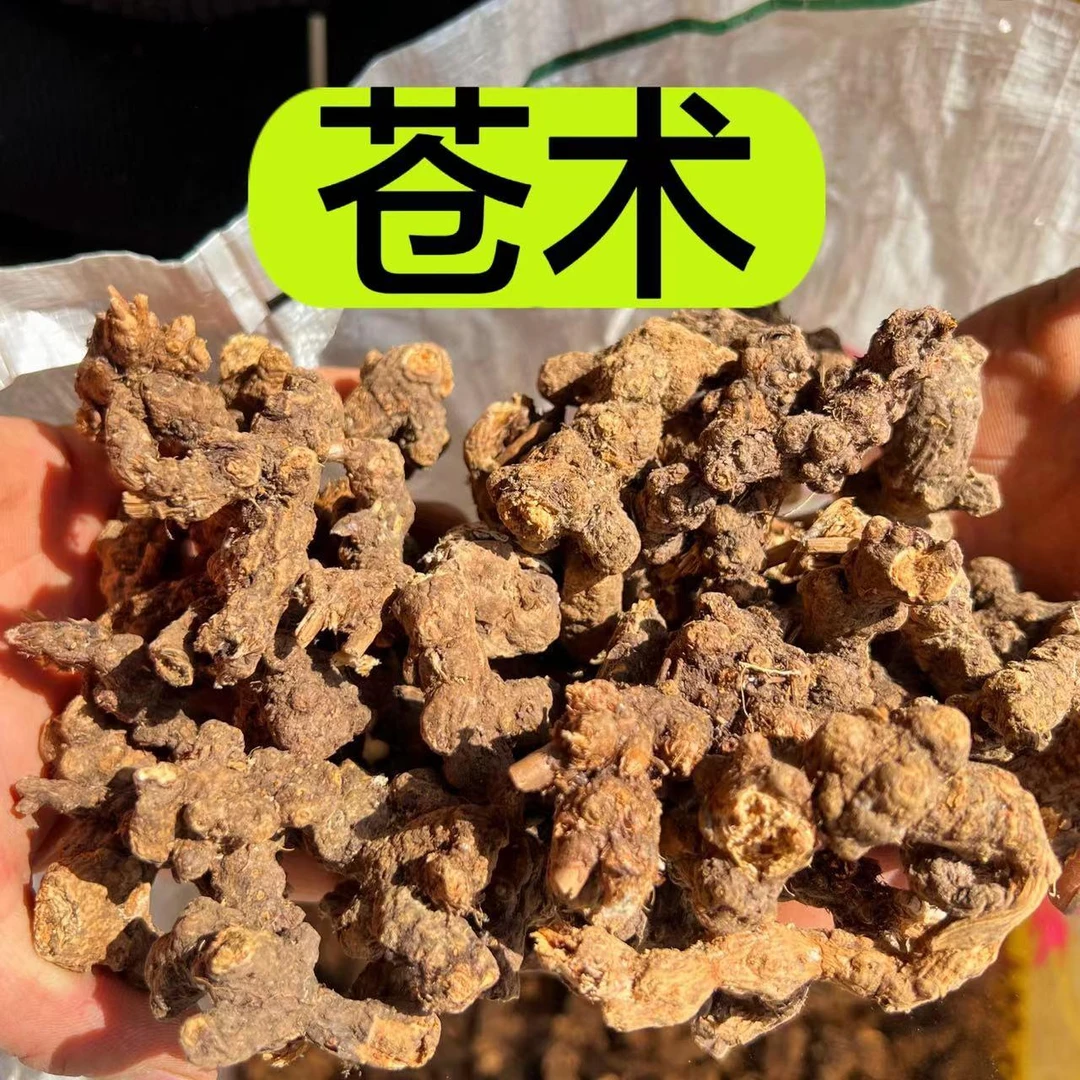 【野苍术】甘肃山里农户自己挖的野苍术 无硫磺熏 250克