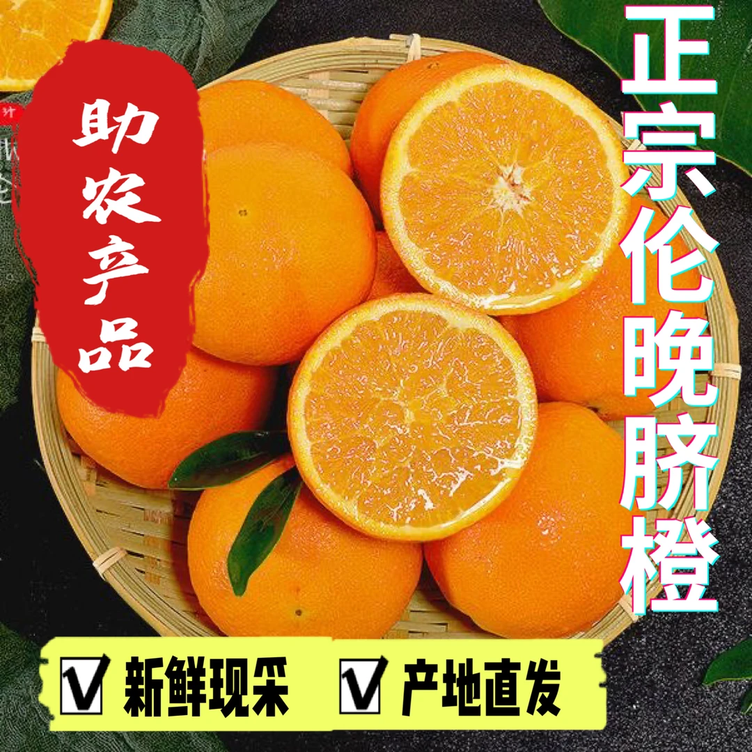 【伦晚脐橙】宜昌三峡秭归果园甜脐橙子新鲜多汁应季水果现采5/9