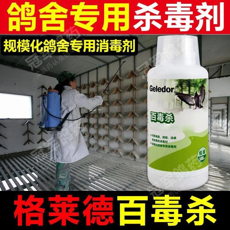 格莱德百毒杀500毫升  赛鸽信鸽鸽子用品
