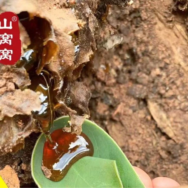 云南野生土酸蜜原始森林地下酸蜂蜜无刺蜂老巢土酸蜜500g