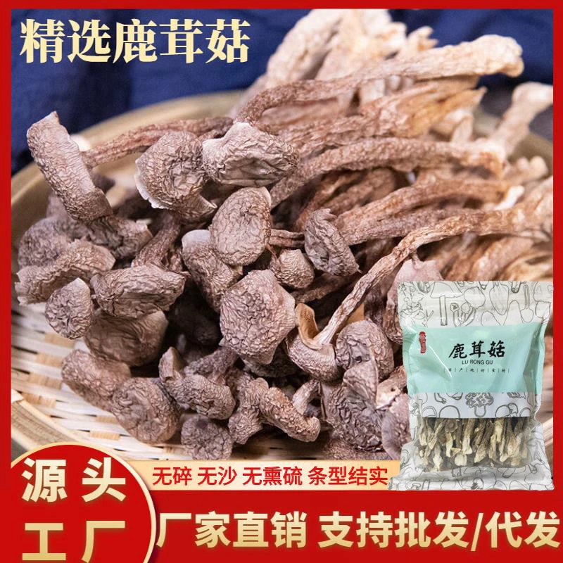 福建特产鹿茸菇干货古田特产无硫新货无碎鹿耳菇鲜香食用菌煲汤