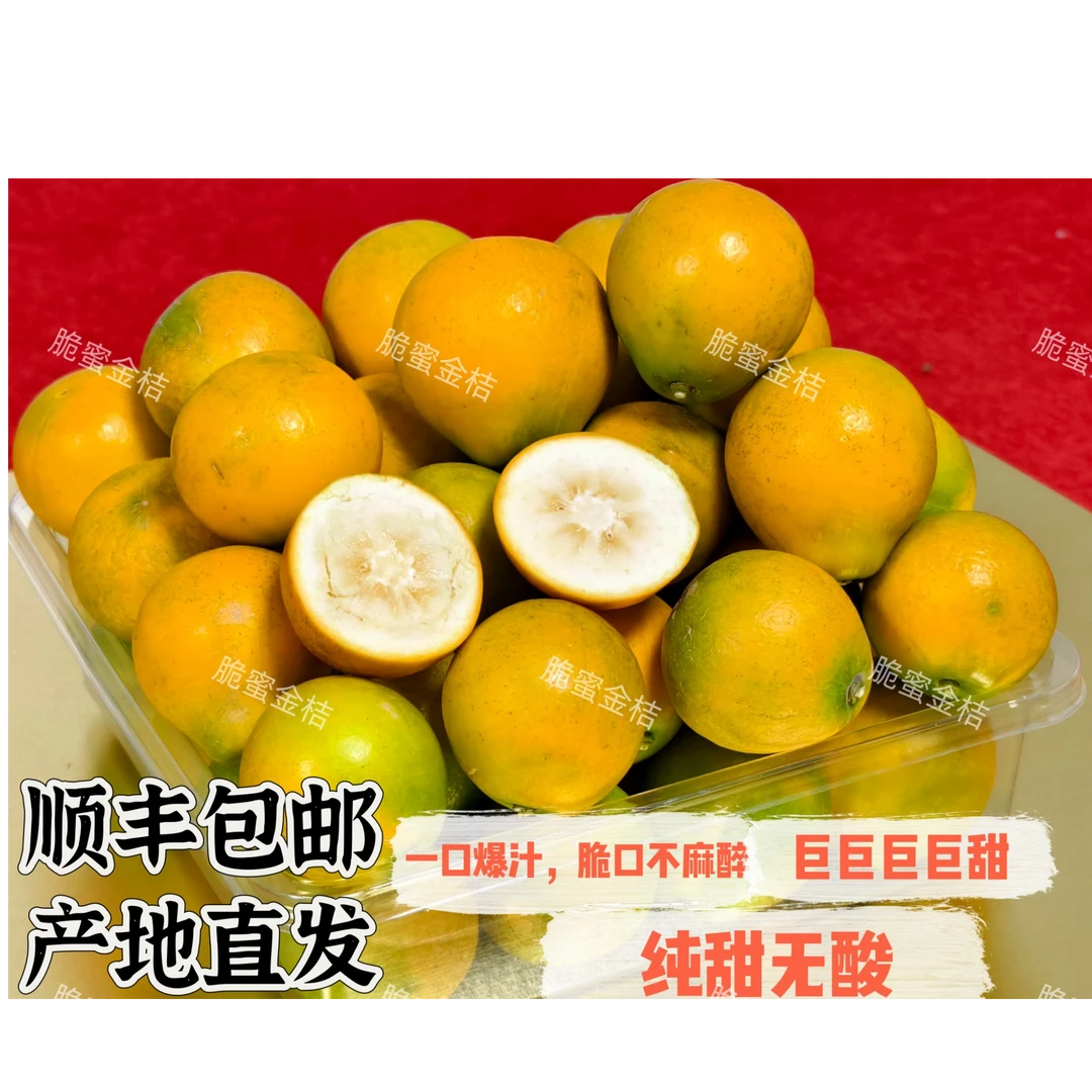 （脆蜜尝鲜装）广西融安脆蜜金桔皮薄纯甜新鲜采摘顺丰包邮