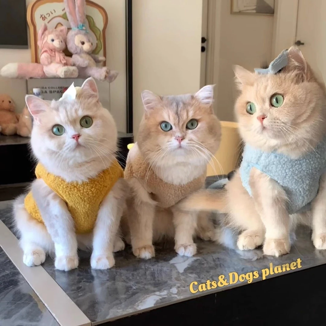 冬季加绒加厚宠物衣服泰迪小型犬猫咪通用保暖狗猫咪衣服喜庆可爱
