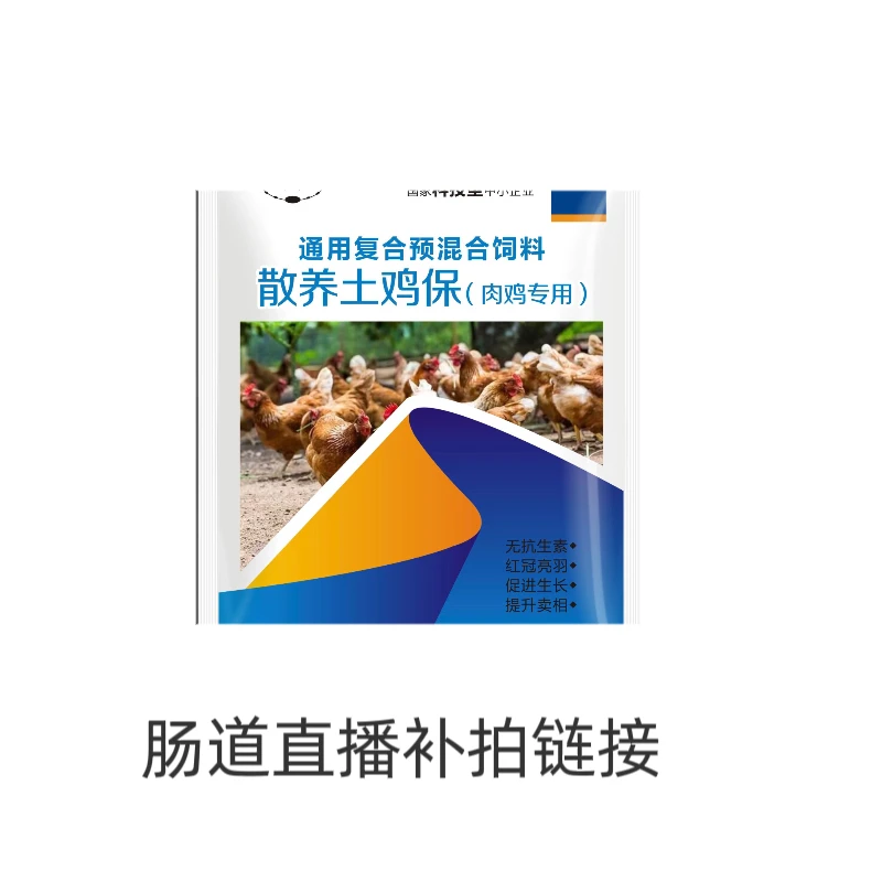 禽肠道土鸡保健直播间补拍
