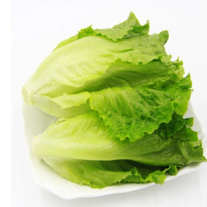 【东胜同城】新鲜罗马生菜250g~500g