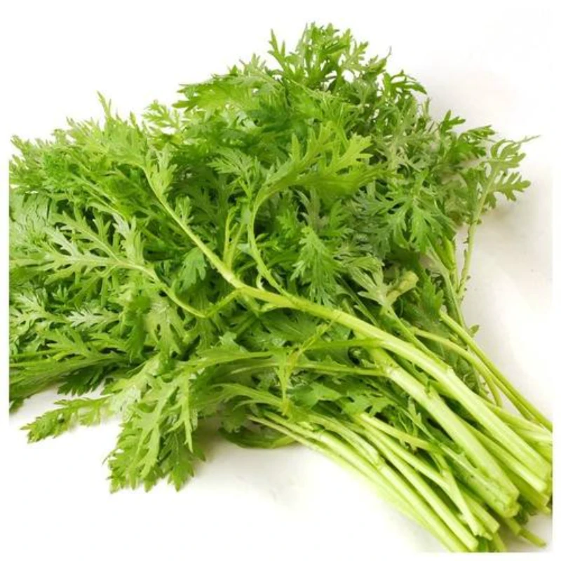 【东胜同城】直播间  茼蒿250g~500g