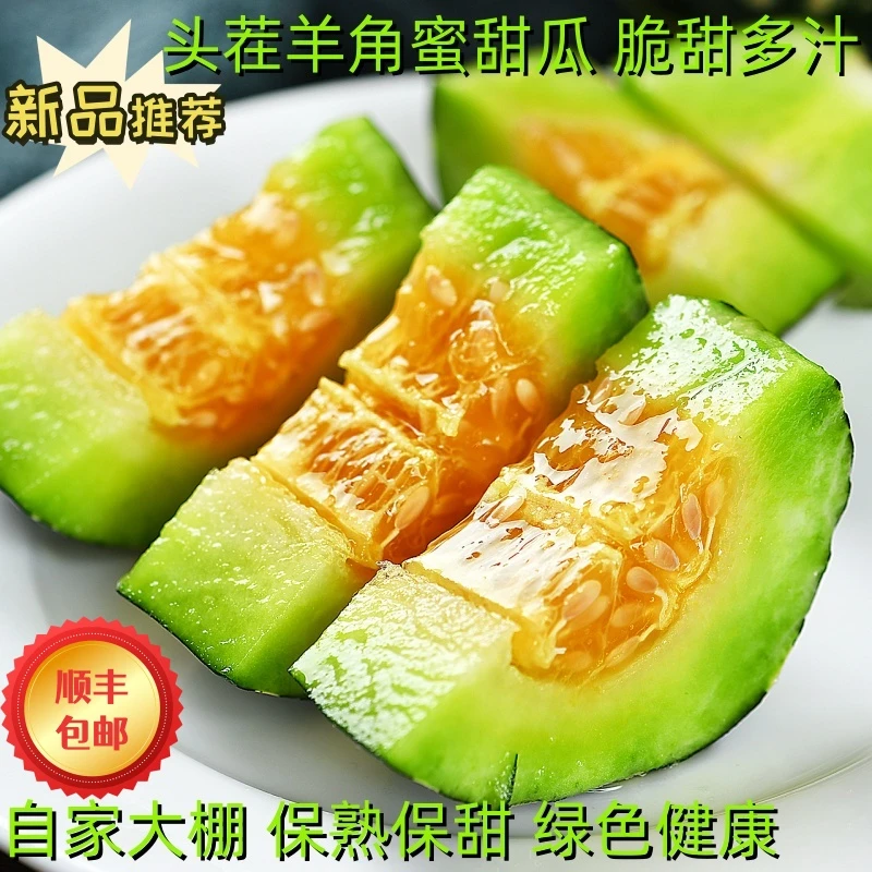 甜瓜水果羊角蜜甜瓜脆甜多汁现采现摘自然成熟新鲜应季水果产地