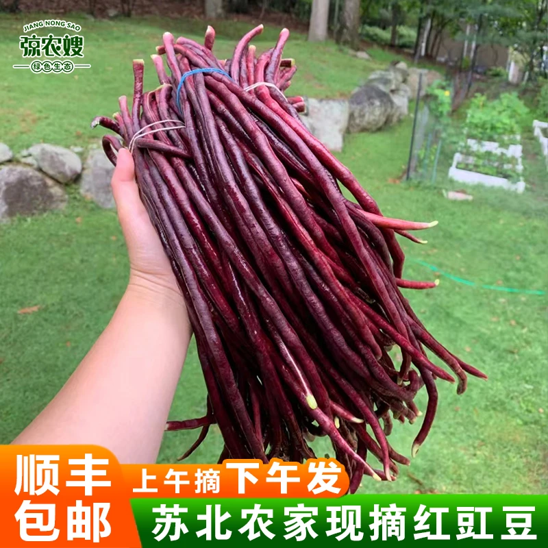 苏北农家现摘蔬菜新鲜红豆角红豇豆长豇豆紫豇豆乌豆角子紫豆角