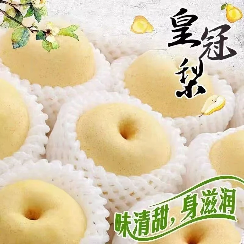 河北皇冠梨产地直发梨新鲜水果薄皮多汁生吃煮水家庭装包邮