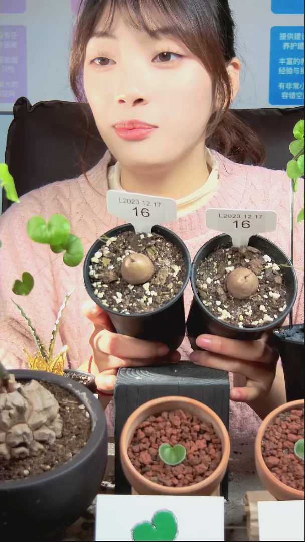 【闪购商品】L2023.12.17.16