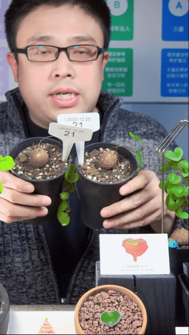 【闪购商品】L2023.12.25.21