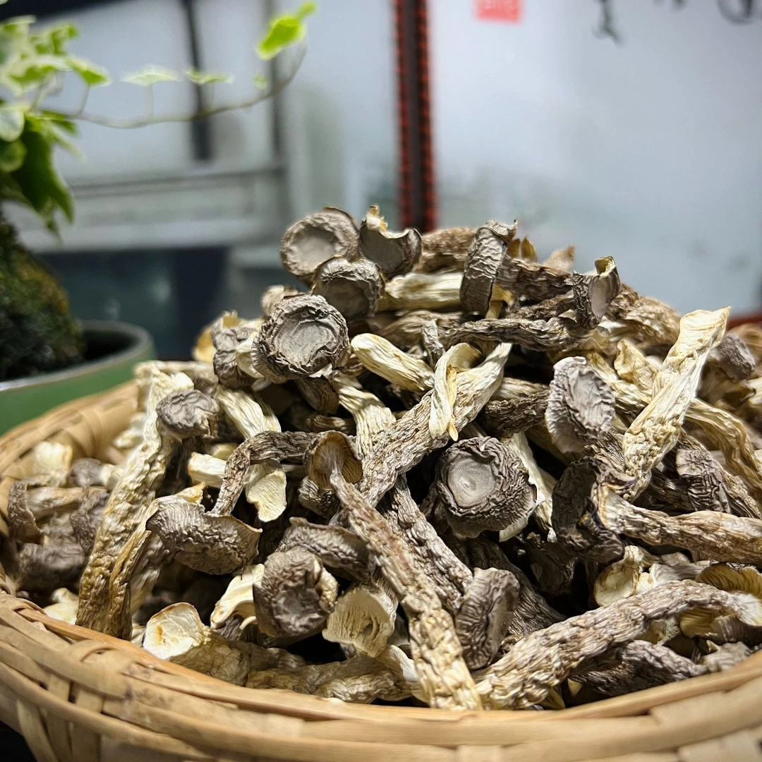 鹿茸菇干货脆脆菇炒菜煲汤火锅食材