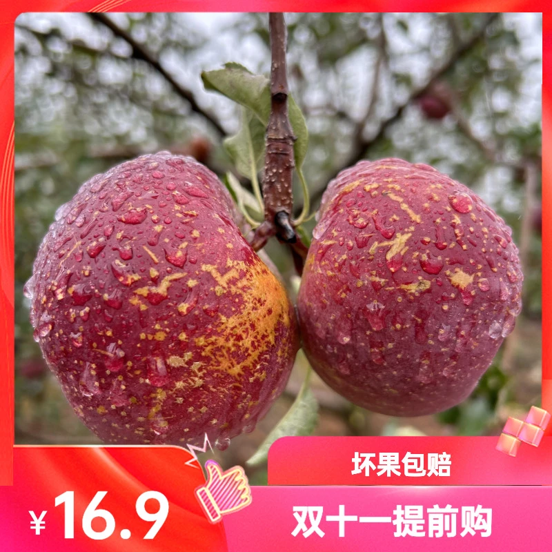 【誉农优品】正宗大凉山丑苹果新鲜应季水果不催熟不打蜡脆甜汁盐源