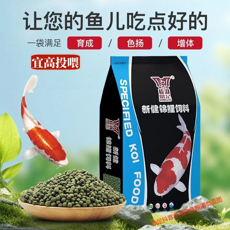 锦鲤鱼粮金鱼蝴蝶鲤红白大正介子增体亮色颗粒宜高投喂上浮鱼粮