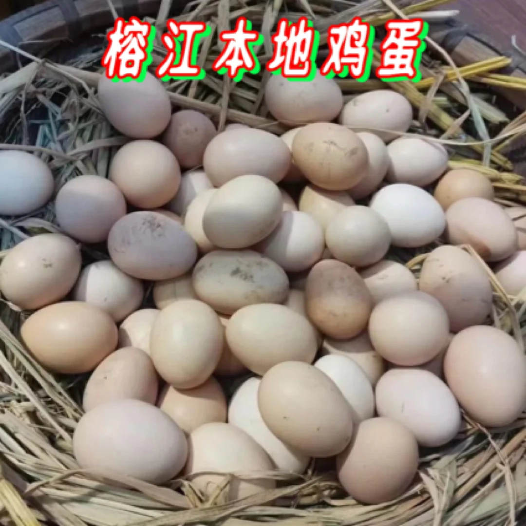 贵州榕江本地鸡蛋榕江小香鸡鸡蛋