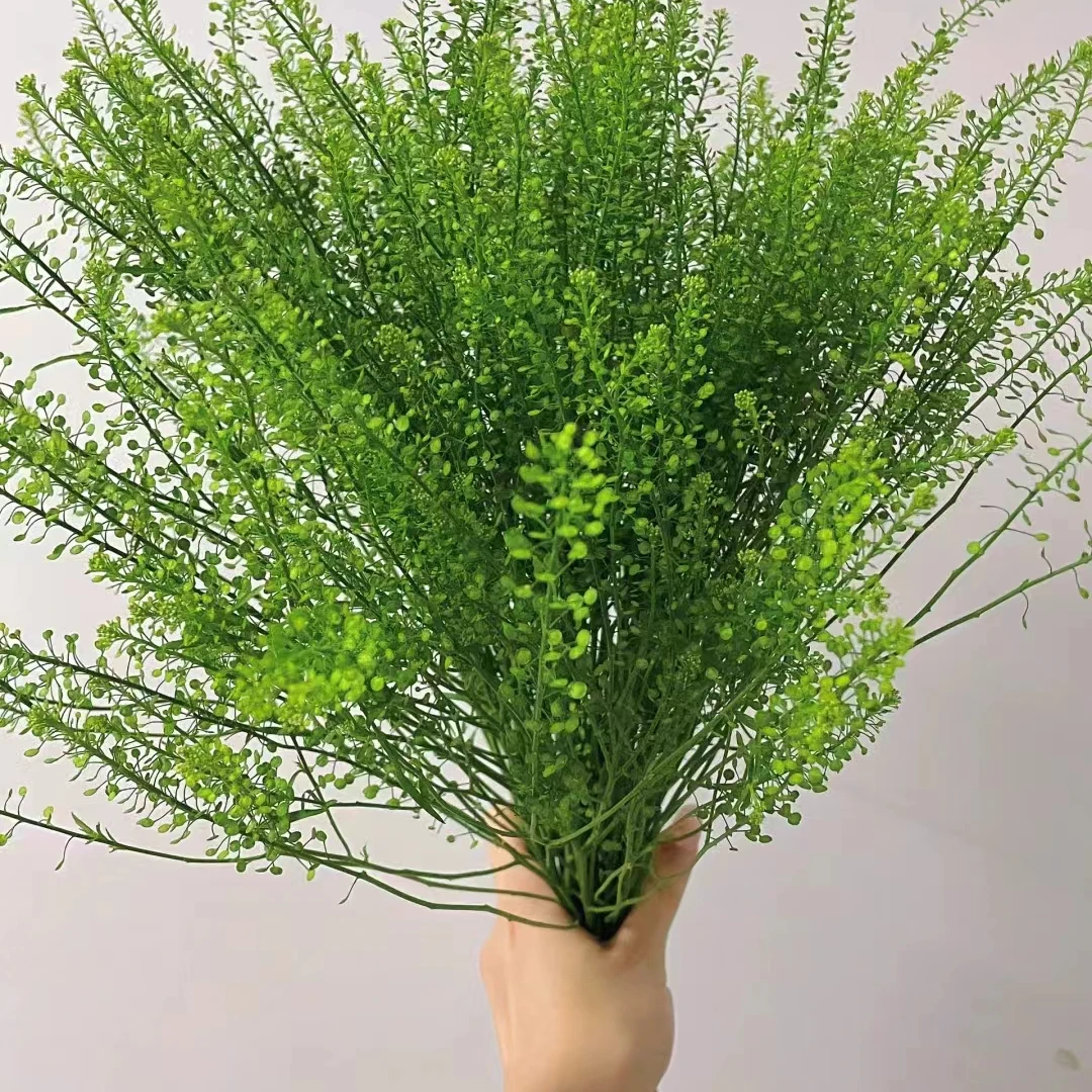 绿灵草3扎+1扎为防损　冷链包邮　昆明基地鲜花直发