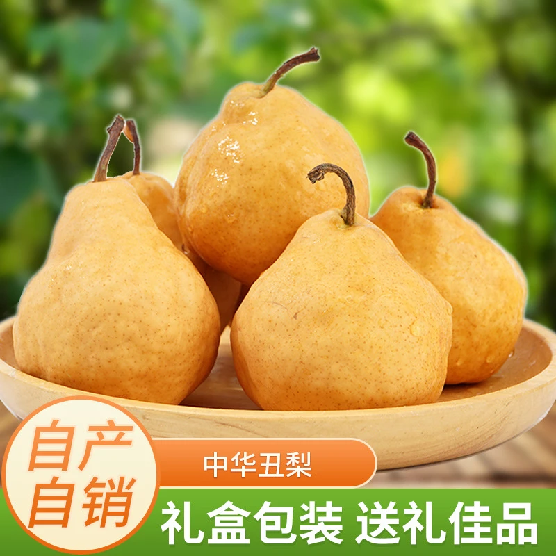 烟台中华丑梨超甜大果梨子香甜皮薄品质甘甜发货当天当季水果新鲜