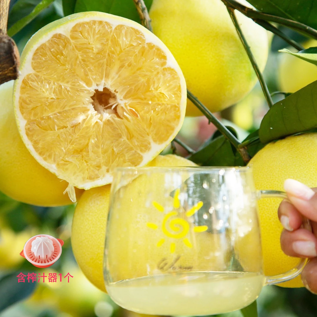 福建平和黄金葡萄柚4.5-8.5斤产地直销新鲜柚子皮薄鲜嫩香甜多汁