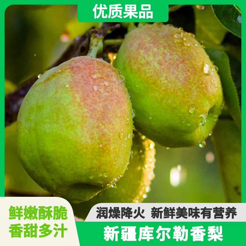 青云人家新疆库尔勒香梨5斤新鲜采摘现发酥脆梨肉质细腻多汁香甜A