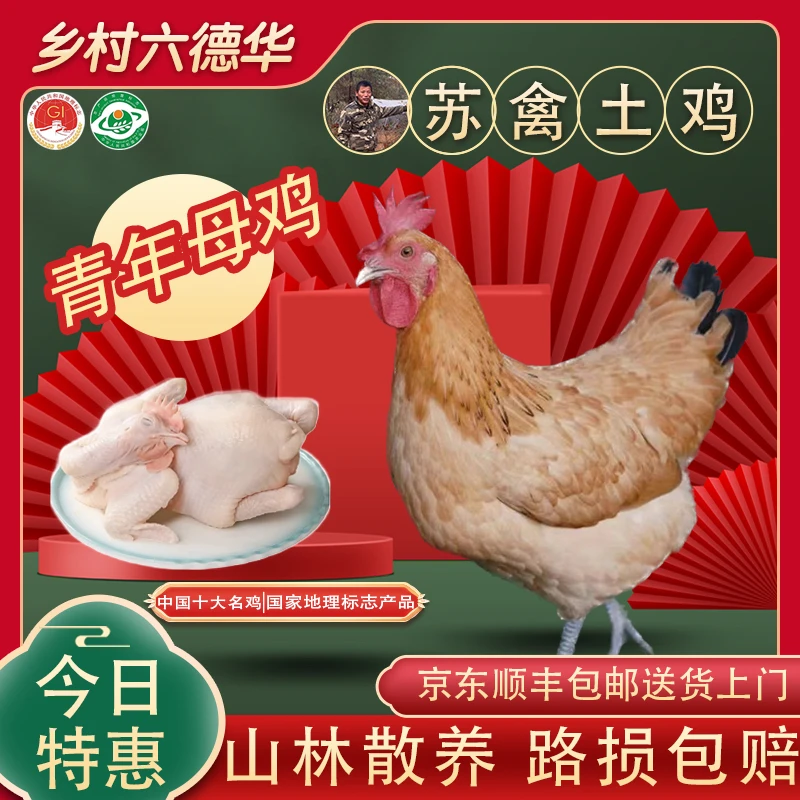【2号好鸡】苏禽青年鸡清蒸白切辣子鸡山林散养小孩爱吃