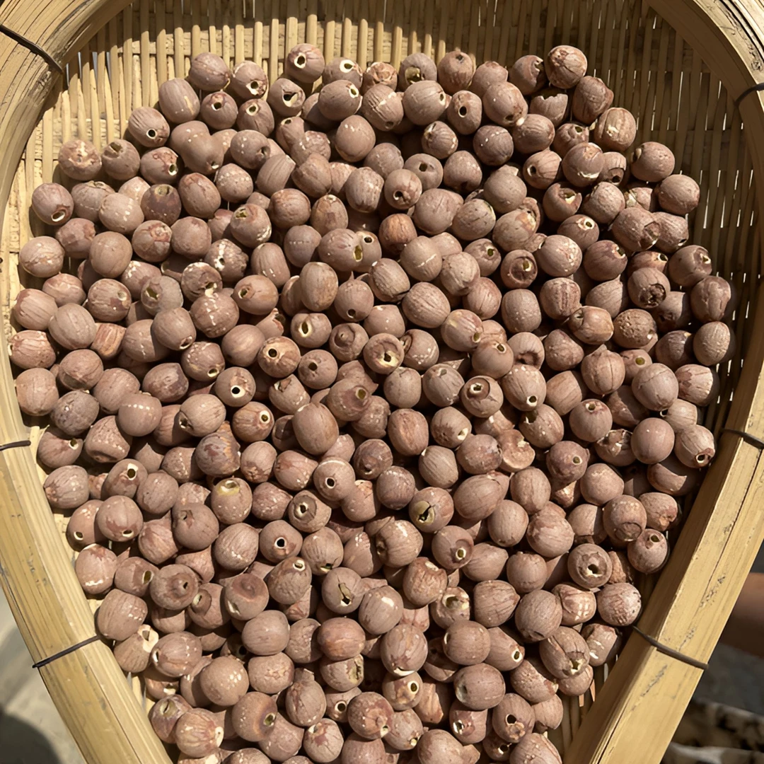 去芯红皮莲子农家山货