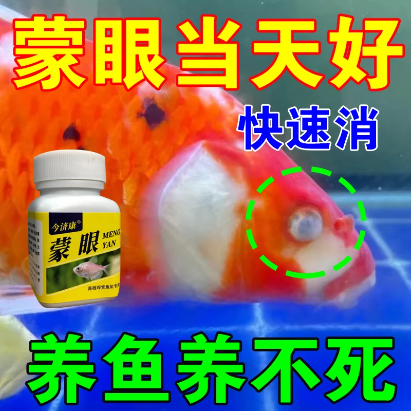 观赏鱼蒙眼白眼专用龙鱼锦鲤鱼虎鱼凸眼观赏鱼今济康鱼粉鱼缸专用