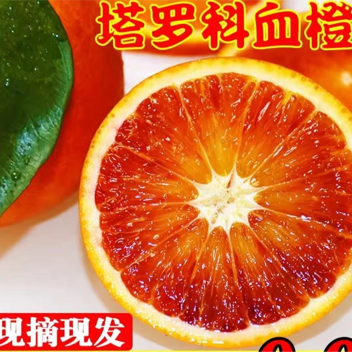 正宗重庆长寿湖塔罗科血橙现摘现发玫瑰香橙新鲜橙子水果包邮快递