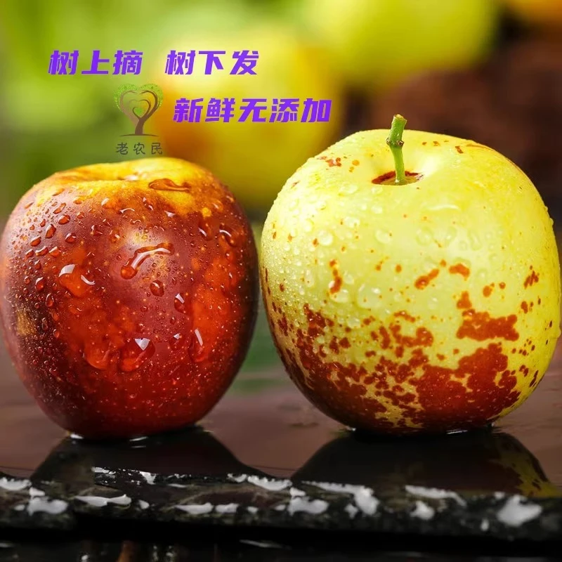 沾化冬枣新鲜应季整箱产地果园直发超脆甜大枣皮薄肉厚