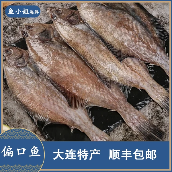 大连本地 偏口鱼3条装  四斤左右  冷冻食用