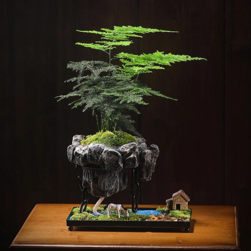 铁艺悬空文竹创意植物盆栽悬浮微景观微家居盆景绿植客厅办公室