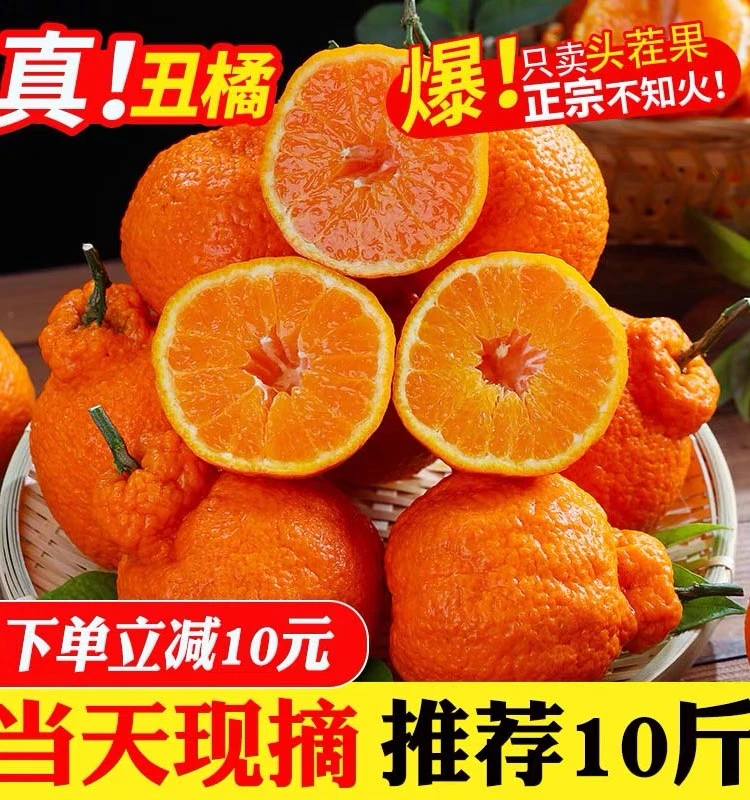 正宗四川春见不知火丑橘耙耙柑1-9斤橘子水果当季水果丑粑粑柑