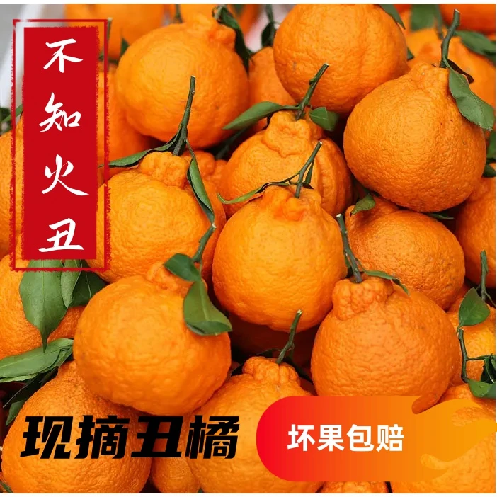 粑粑柑不知火丑橘新鲜水果耙耙柑橘子丑柑丑桔粑粑柑1-9斤细嫩