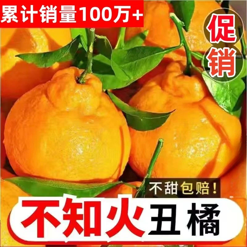 四川不知火丑橘新鲜丑八怪橘子当季水果春见耙耙柑橘1-9斤多汁