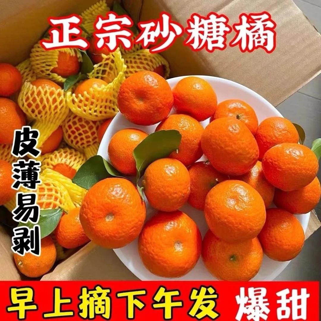 广西沙糖桔薄皮新鲜1-9斤砂糖橘冰糖蜜橘子无籽当季水果新鲜现发