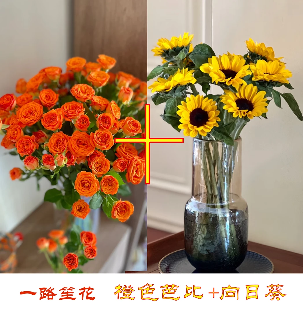 一路笙花-5支橙色芭比+3支黑心向日葵-家庭生活鲜花今天下单明天到达。