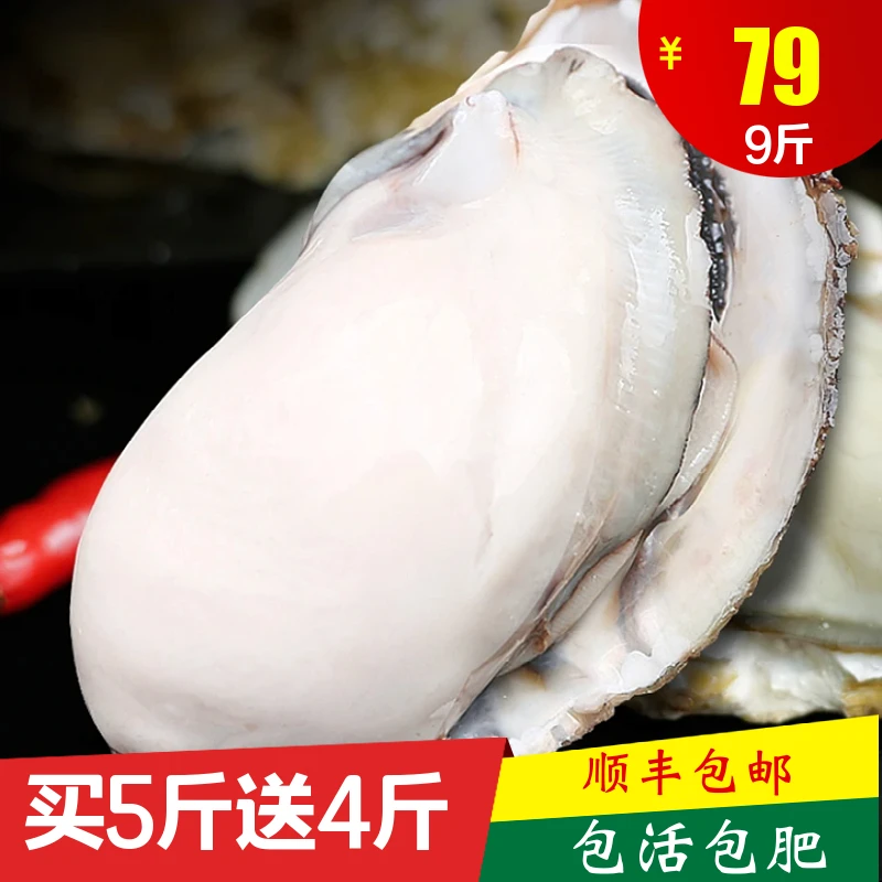 【蚝鲜生】买5送4到手9斤山东源产地生蚝牡蛎 现捞直发 鲜活到家