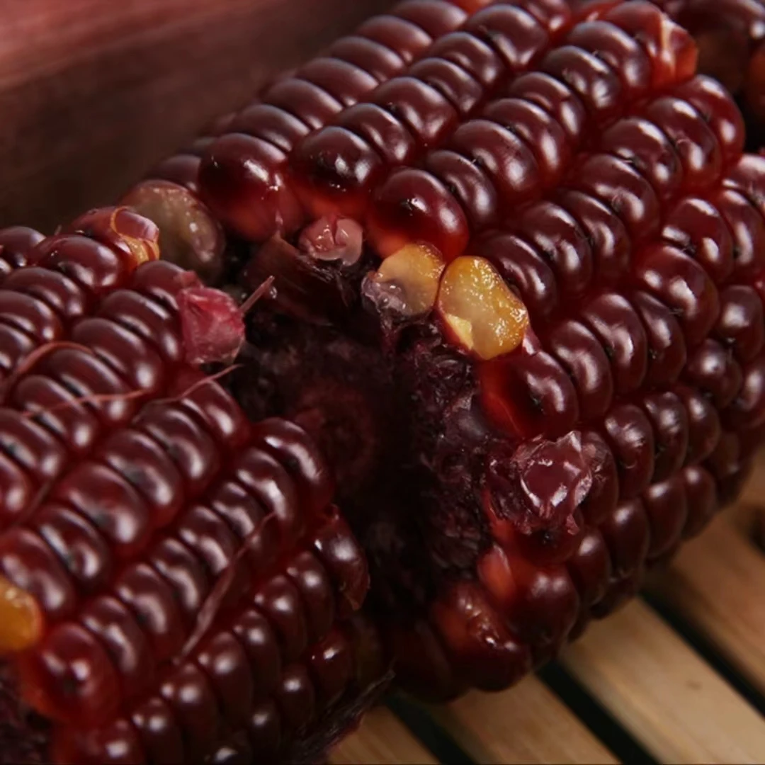 富硒黑糯玉米  新鲜嫩甜软糯 8根装 200g/根